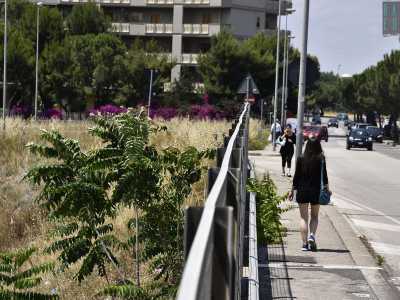 Non ci resta ora che dirigerci verso l�estremit� sud del quartiere. Ci troviamo in via Lucarelli